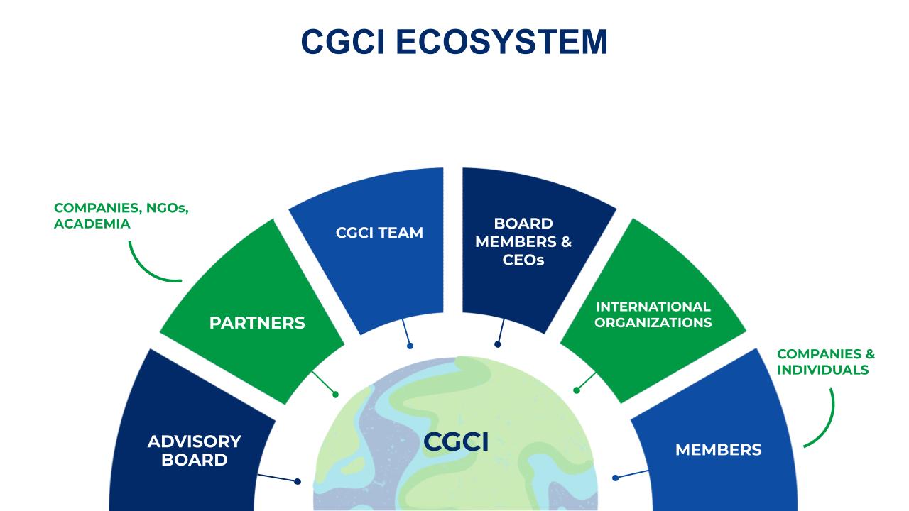 cgci_russia_2024_ecosystem_eng