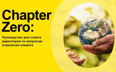 Chapter Zero: A climate change boardroom toolkit.